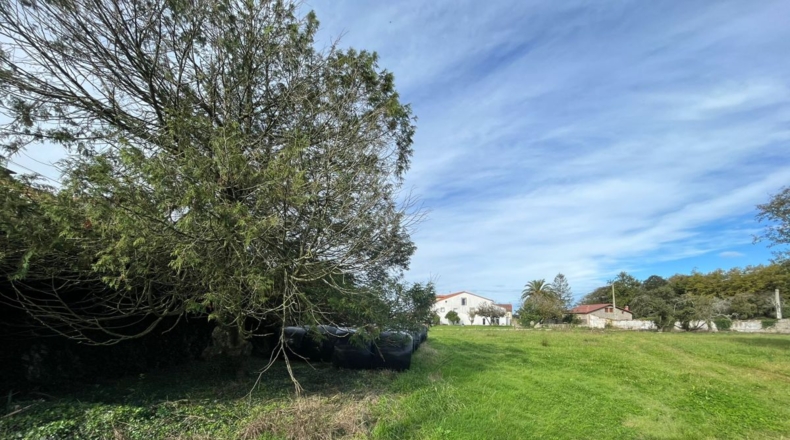 Cantabria - El Pedregal - 1100m2