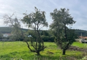 Sòl urbà en venda a la España, Arnuero, ref.: TR183800 foto