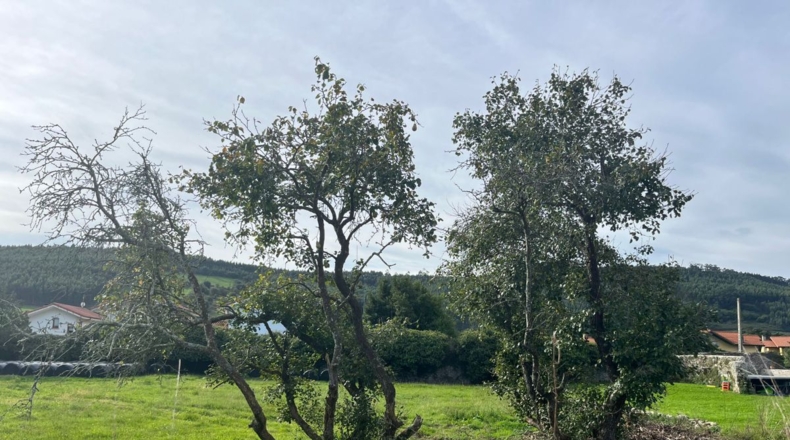 Cantabria - El Pedregal - 1100m2