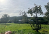Sòl urbà en venda a la España, Arnuero, ref.: TR183800 foto