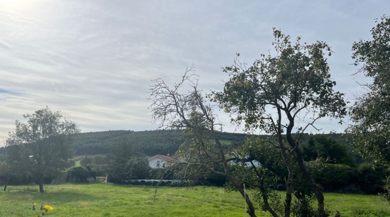 Cantabria - El Pedregal - 1100m2