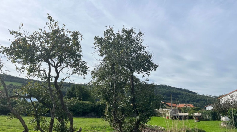 Cantabria - El Pedregal - 1100m2