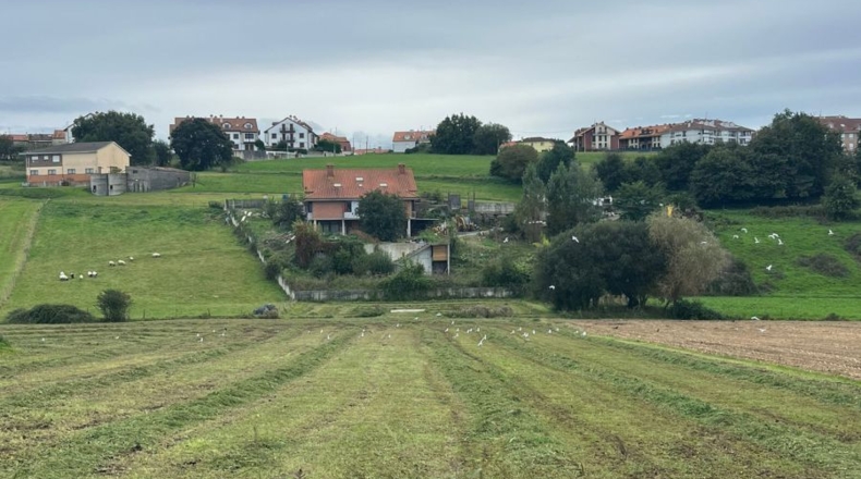Cantabria - San Mamés de Meruelo - 4505m2