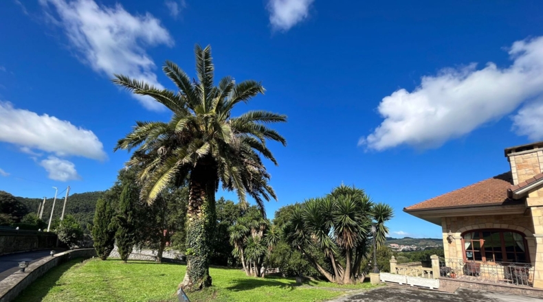 Cantabria - Noja - 3800m2
