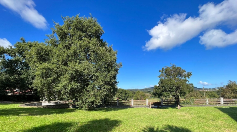 Cantabria - Noja - 3800m2