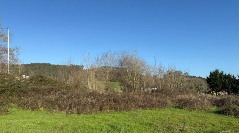 Cantabria - Hazas de Cesto - 559m2