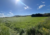 Suelo urbano en venta en la España, San Mamés de Meruelo, ref: TR253881 foto
