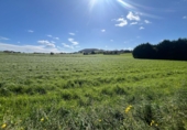 Suelo urbano en venta en la España, San Mamés de Meruelo, ref: TR253881 foto