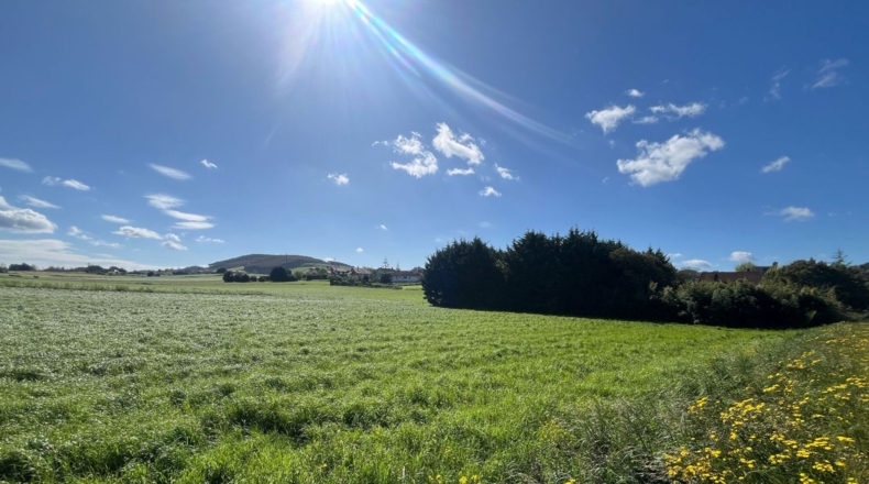 Cantabria - Barrio Bocillo - 1728m2