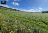 Suelo urbano en venta en la España, San Mamés de Meruelo, ref: TR253881 foto