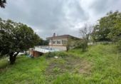 Chalet independiente con terreno en venta en Isla Playa ref: TR234520 foto