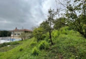 Chalet independiente con terreno en venta en Isla Playa ref: TR234520 foto