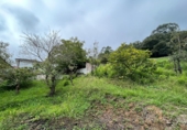 Chalet independiente con terreno en venta en Isla Playa ref: TR234520 foto