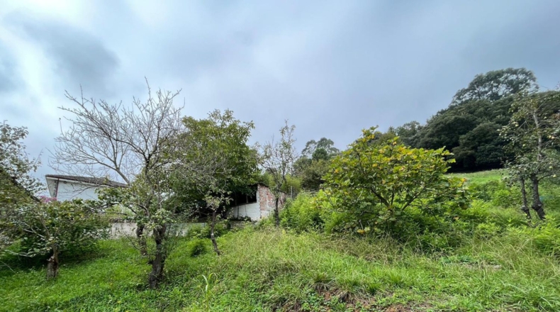 Cantabria - Isla - 2000m2