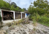 Chalet independiente con terreno en venta en Isla Playa ref: TR234520 foto