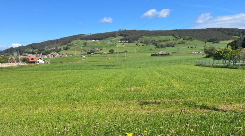 Cantabria - San Mamés de Meruelo - 723m2