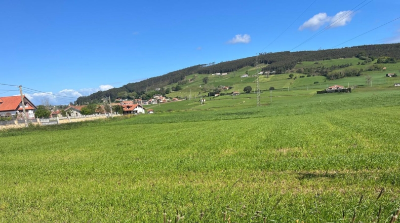Cantabria - San Mamés de Meruelo - 723m2