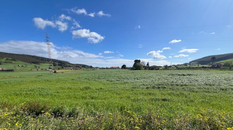 Cantabria - San Mamés de Meruelo - 723m2
