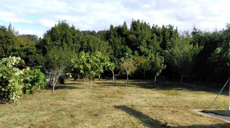 Cantàbria - Camargo - 870m2