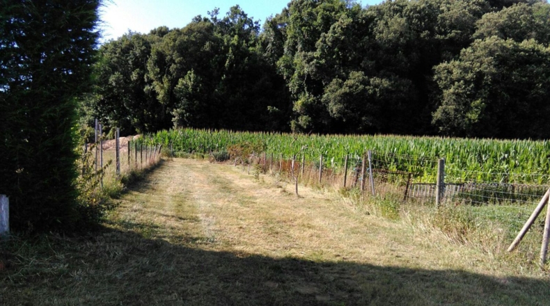 Cantàbria - Camargo - 870m2