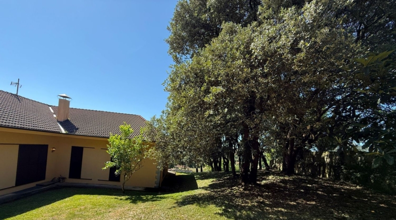 Cantabria - Isla - 3818m2