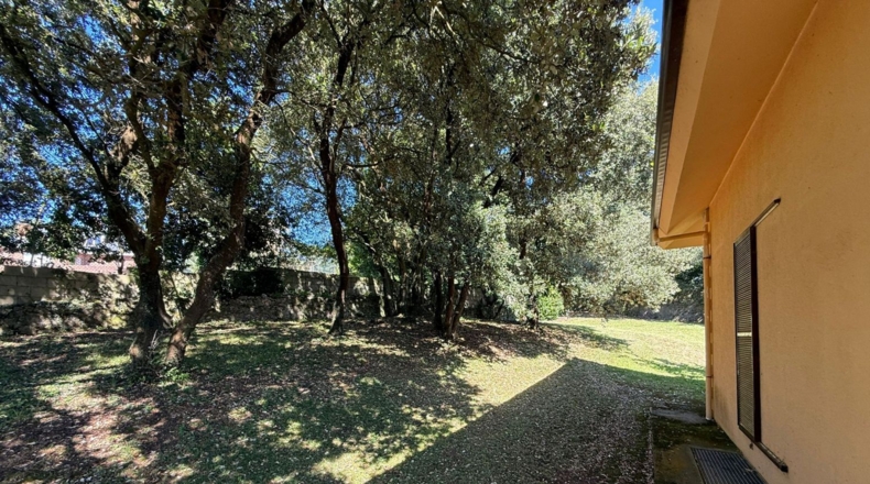 Cantabria - Isla - 3818m2