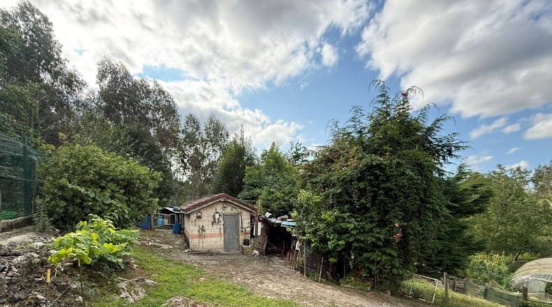 Cantàbria - Hazas de Cesto - 32000m2