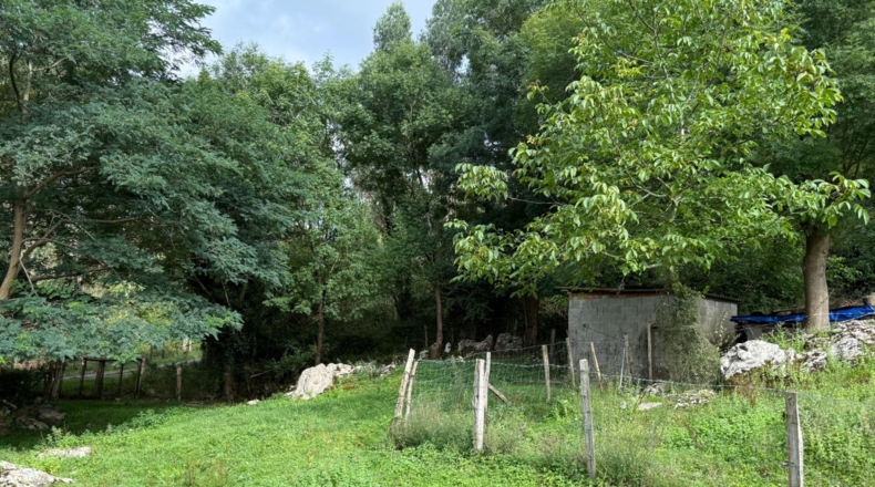 Cantàbria - Hazas de Cesto - 32000m2