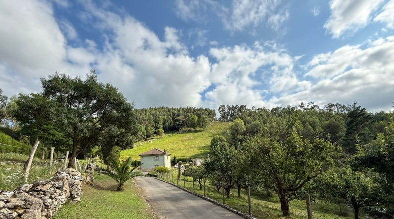 Cantàbria - Hazas de Cesto - 32000m2