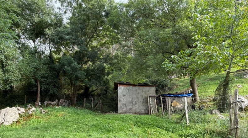 Cantàbria - Hazas de Cesto - 32000m2