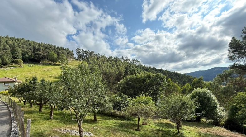 Cantàbria - Hazas de Cesto - 32000m2