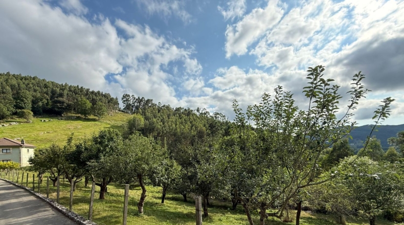 Cantàbria - Hazas de Cesto - 32000m2