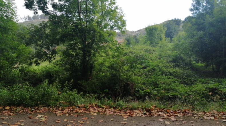 Cantabria - Barrio de Arriba - 1129m2