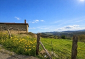 Village house for sale in San Bartolomé de Meruelo ref: TR375394 photo