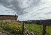 Village house for sale in San Bartolomé de Meruelo ref: TR375394 photo