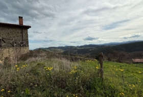 San Bartolomé de Meruelo 345&nbsp;m²