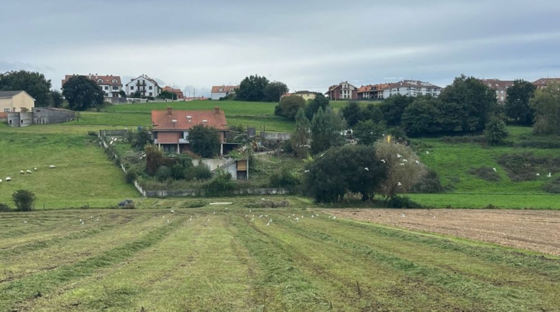 Cantabria - San Mamés de Meruelo - 1800m2