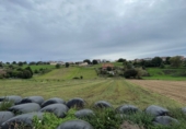 Sòl urbà en venda a San Mamés de Meruelo ref.: TR253885 foto