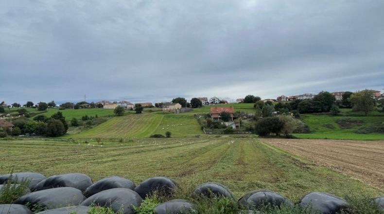 Cantabria - San Mamés de Meruelo - 1800m2