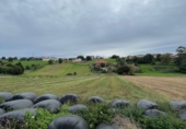 Sòl urbà en venda a San Mamés de Meruelo ref.: TR253885 foto