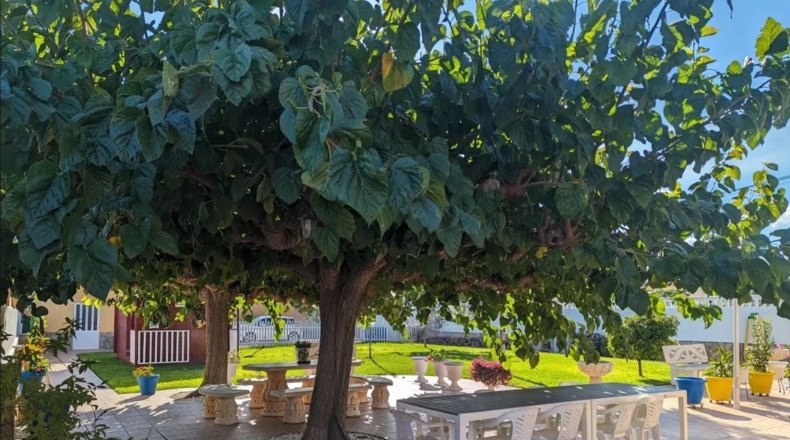 Castellón - Benicarló - 1000m2