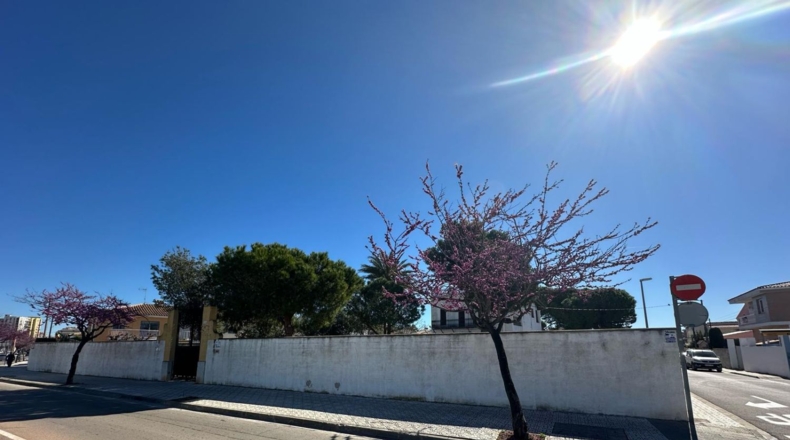 Castellón - Vinaroz - 2360m2
