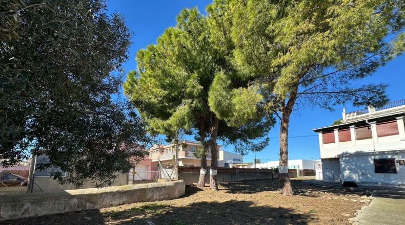 Castellón - Vinaroz - 2360m2