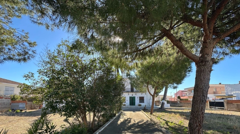 Castellón - Vinaroz - 2360m2
