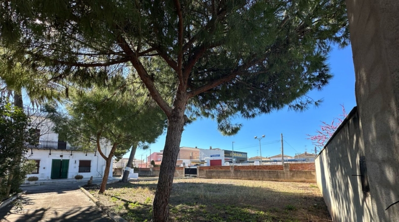Castellón - Vinaroz - 2360m2