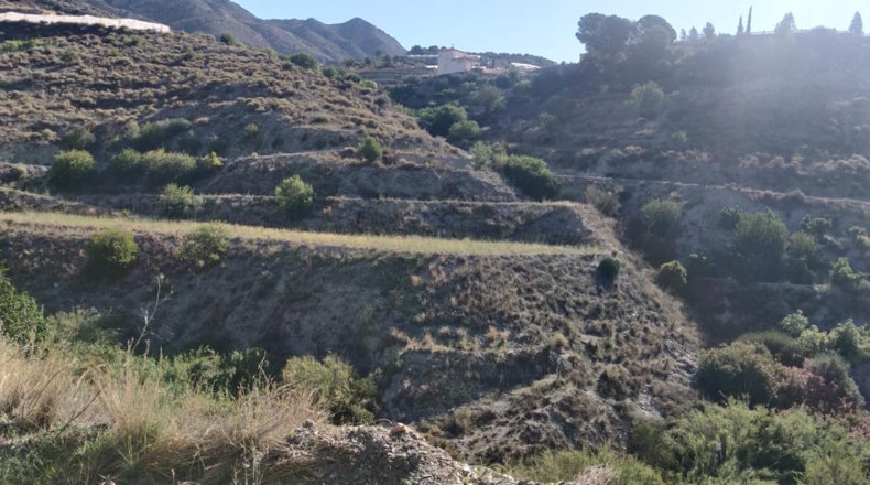 Granada - Molvízar - 7335m2