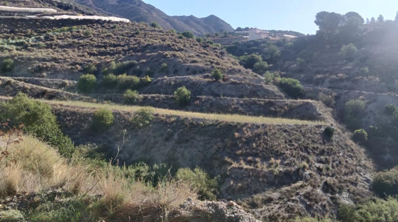 Granada - Molvízar - 7335m2