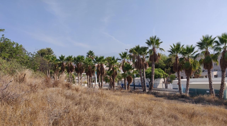 Granada - Motril - 400m2