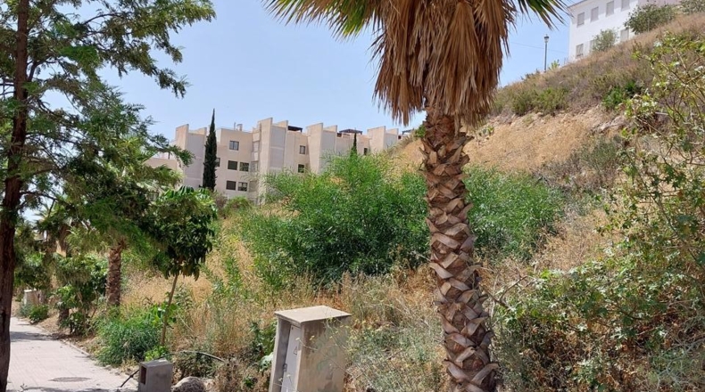 Malaga - Nerja - 2700m2