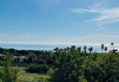 Vil·la amb terreny en lloguer a la España, Marbella, ref.: TR279036 foto